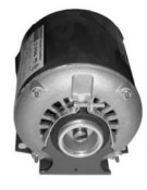 1/3 HP Motor Image
